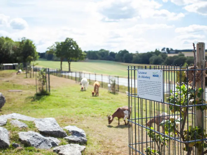 可持续性和责任感